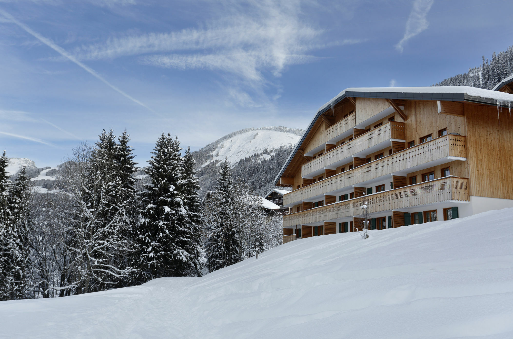 Résidence Néméa Le Grand Lodge Châtel Exterior foto